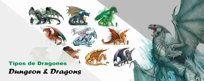 Dragones de DND